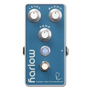 BOGNER HARLOW