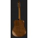 EPIPHONE DR-100 NT