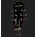 EPIPHONE DR-100 NT