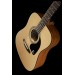 EPIPHONE DR-100 NT