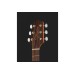 TAKAMINE GD11M NS 