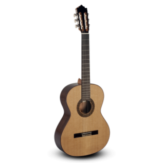 Paco Castillo Model 202