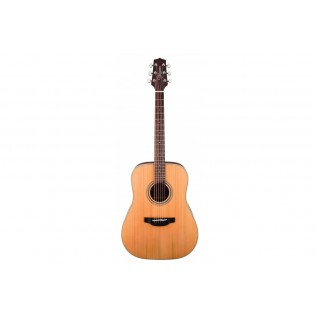 TAKAMINE GD20-NS
