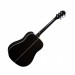 Акустическая гитара Washburn 