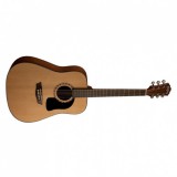 Washburn AD5