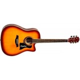 АКУСТИЧЕСКАЯ ГИТАРА EQUITES EQ900C BS 41