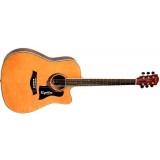 АКУСТИЧЕСКАЯ ГИТАРА EQUITES EQ903C N 41
