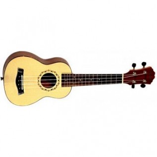 OSTEN UK110