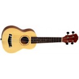 OSTEN UK111