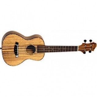 OSTEN UK329