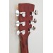 CORT AF505 (OP)