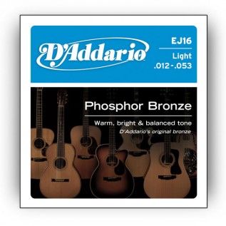 D`ADDARIO EJ16 PHOSPHOR BRONZE LIGHT 12-53