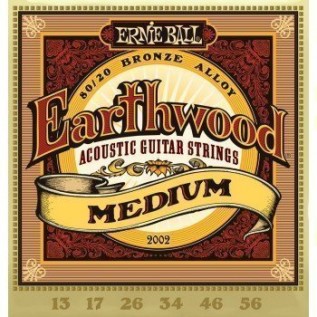 ERNIE BALL P02002
