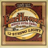ERNIE BALL P02010