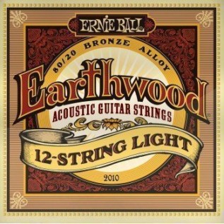 ERNIE BALL P02010