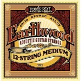 ERNIE BALL P02012