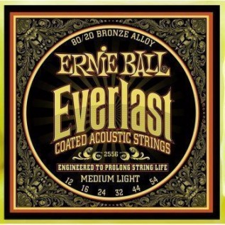 ERNIE BALL P02556
