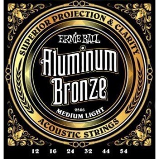 ERNIE BALL P02566