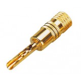 SOUNDKING SKCG124