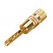 SOUNDKING SKCG124