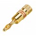SOUNDKING SKCG125