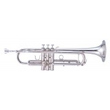 MAXTONE TTC60N2 (TTC234N)