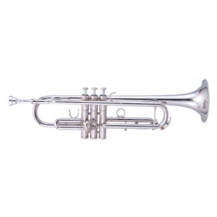 MAXTONE TTC60N2 (TTC234N)