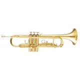 MAXTONE TTC30L (TTC1C)