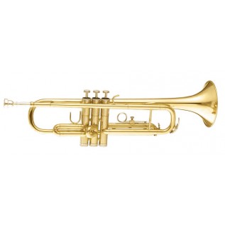 MAXTONE TTC30L (TTC1C)