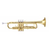 MAXTONE TTC60L2 (TTC234L)
