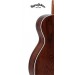 Sigma DM-1ST-BR