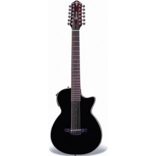 CRAFTER CT120-12/BK