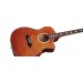 SCHECTER OMEN EXTREME AC ANTQ