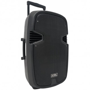 SOUNDKING LS911