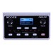 MOOER PE100
