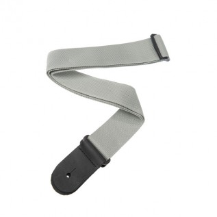 PLANET WAVES PWS105 Polypropylene Guitar Strap, Silver