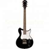 Washburn WI36