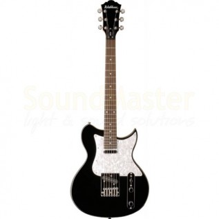 Washburn WI36