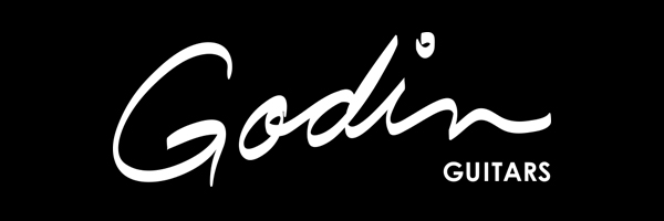  GODIN